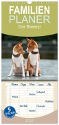 Cover-Bild zum Titel 'Familienplaner 2027 - Der Basenji mit 5 Spalten (Wandkalender, 21 x 45 cm) CALVENDO' von 'Angelika Joswig'