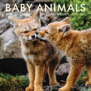 Cover-Bild zum Titel '2026 Baby Animals Wall Calendar' von 'Art Wolfe'