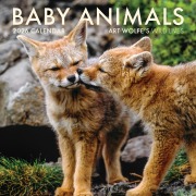 Cover-Bild zum Titel '2026 Baby Animals Wall Calendar' von 'Art Wolfe'