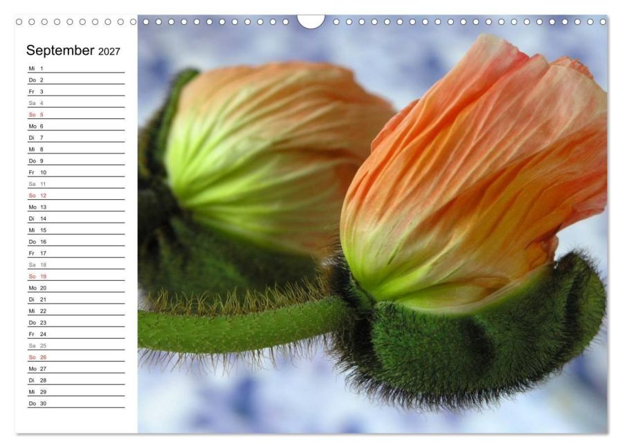 InsideView 14