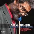 Cover-Bild zum Titel 'Brothers Under the Sun' von 'Steve Nelson'