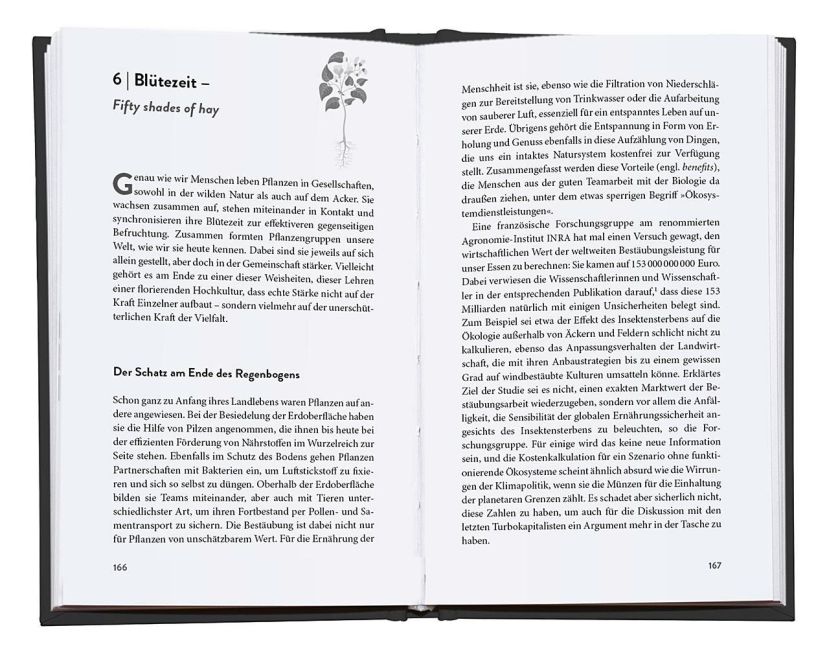 InsideView 6