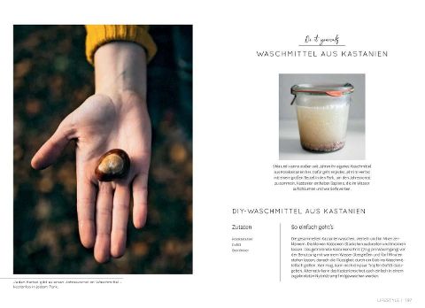InsideView 10