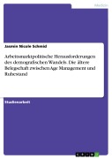 Arbeitsmarktpolitische Herausforderungen des demografischen Wandels. Die ältere Belegschaft zwischen Age Management und Ruhestand - Jasmin Nicole Schmid