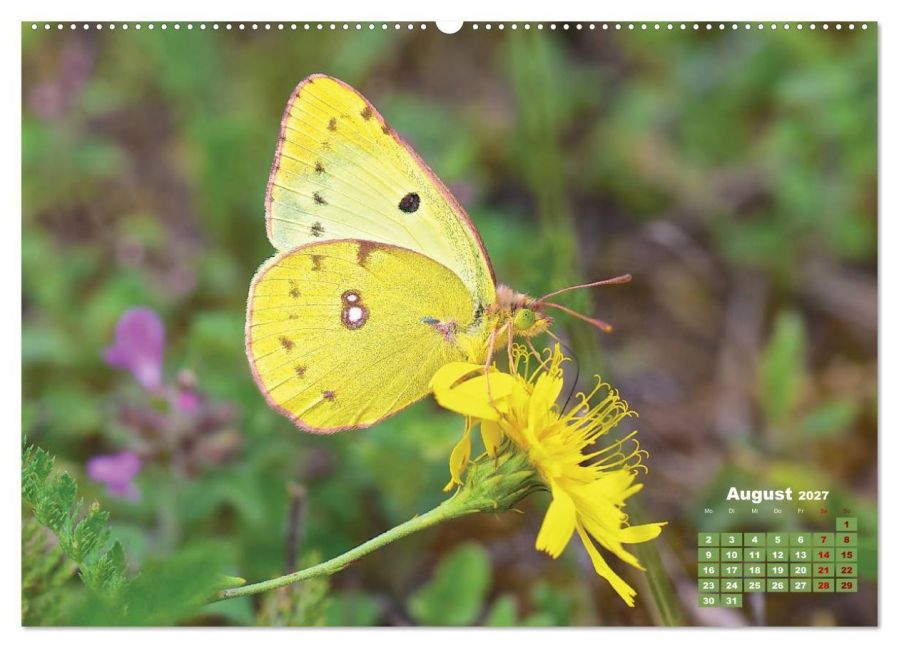 InsideView 13