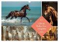 A Horse Makes You Complete (Wall Calendar 2025 DIN A3 landscape), CALVENDO 12 Month Wall Calendar - Kerstin Waurick