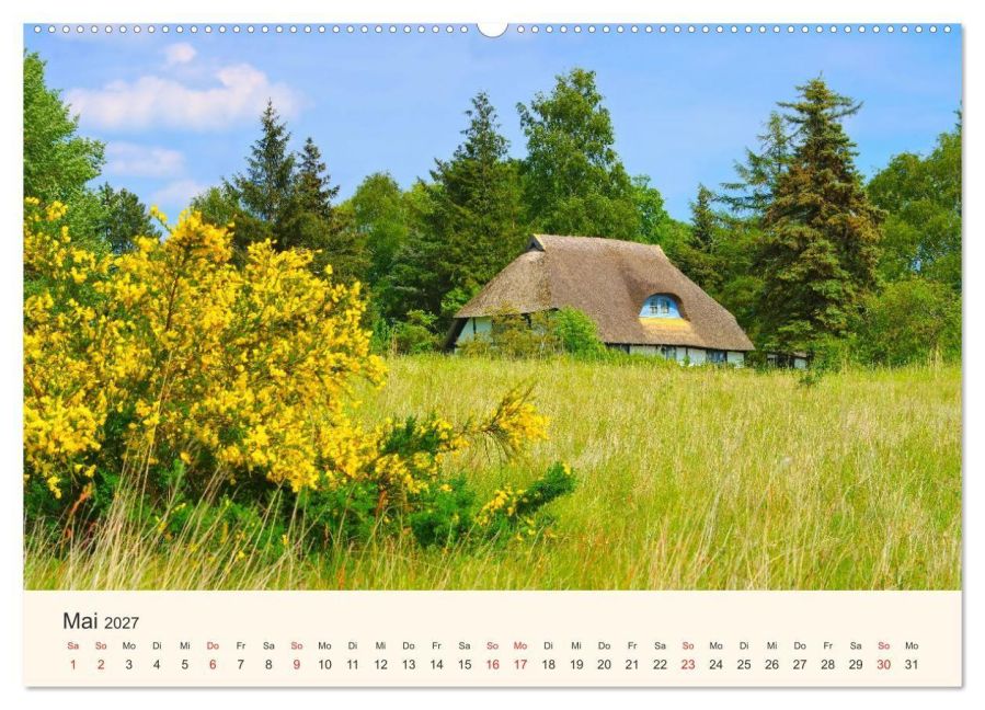 InsideView 10