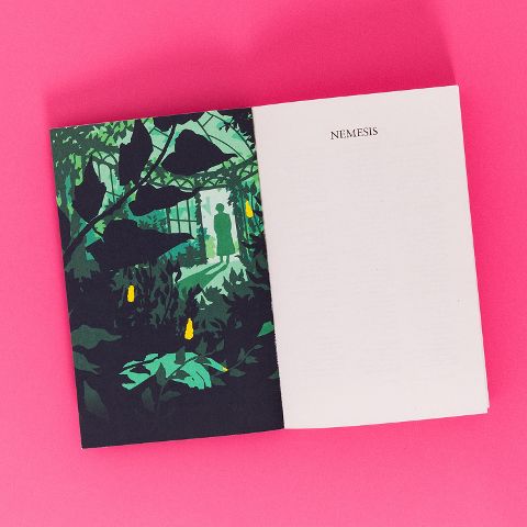 InsideView 5