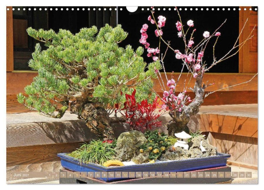 InsideView 11