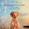 Cover-Bild zum Titel 'Schlüsselmomente' von 'Viviane Theby'