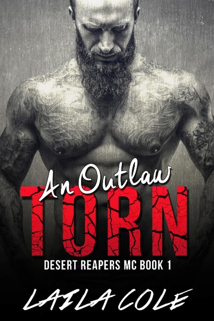 An Outlaw Torn - Book 1 (Desert Reapers MC, #1) - Laila Cole