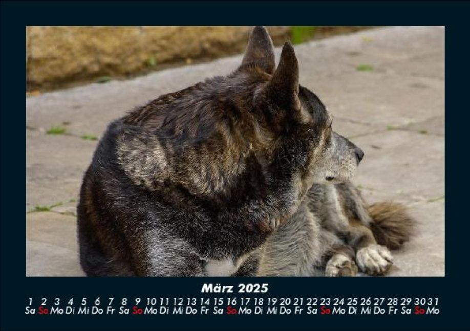 InsideView 7