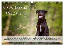 Cover-Bild zum Titel 'Eine bunte Mischung - wunderschöne Mischlingshunde / Geburtstagskalender (Wandkalender 2026 DIN A3 quer), CALVENDO Monatskalender' von 'Nicole Noack'