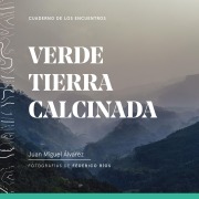Cover-Bild zum Titel 'Verde tierra calcinada' von 'Juan Miguel Álvarez'