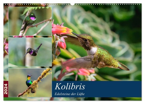 Kolibris - Edelsteine der Lüfte (Wandkalender 2024 DIN A2 quer), CALVENDO Monatskalender - Jürgen Wöhlke