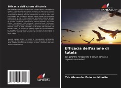 Efficacia dell'azione di tutela - Yair Alexander Palacios Minotta