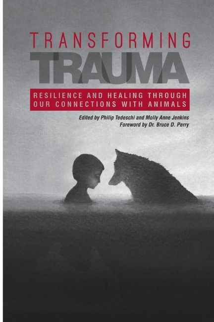 Transforming Trauma - Philip Tedeschi, Molly Anne Jenkins