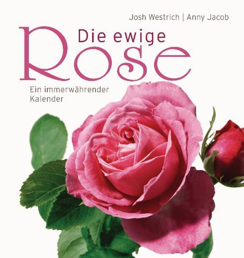 Die ewige Rose - Anny Jacob