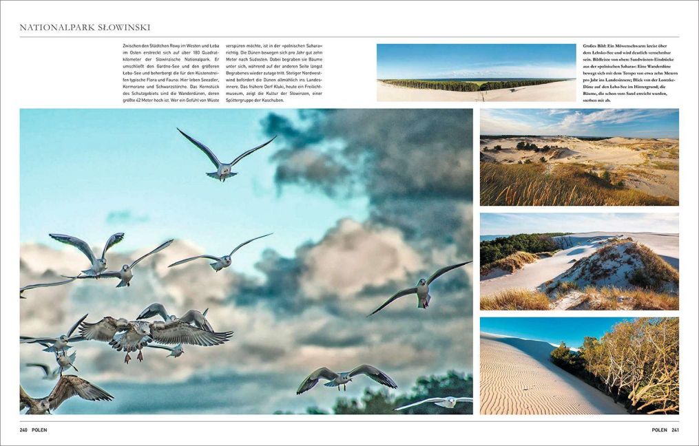 InsideView 10