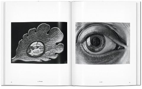 InsideView 8