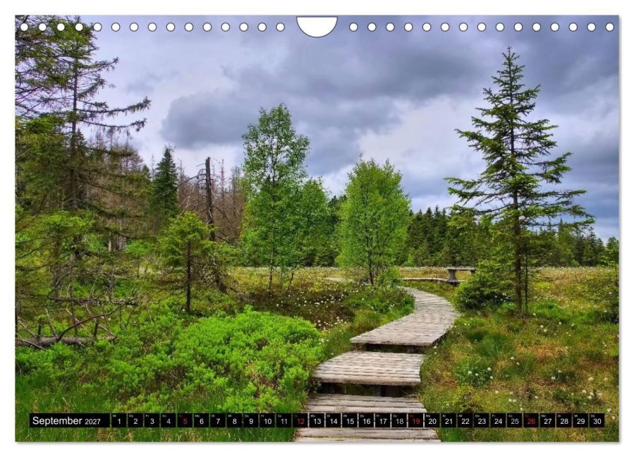 InsideView 14