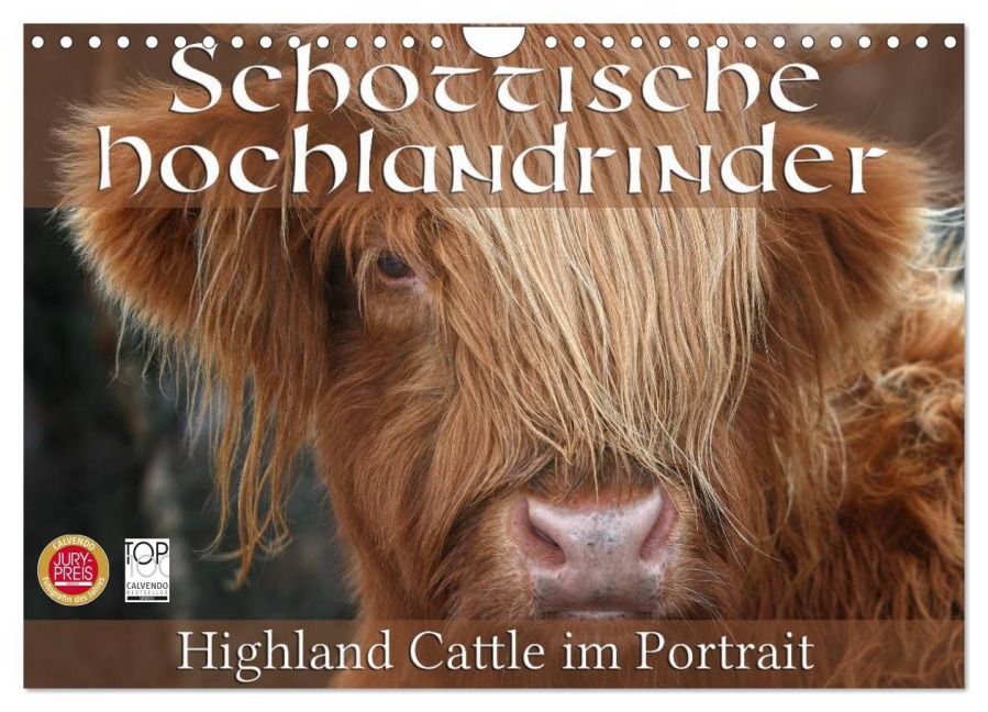 Schottische Hochlandrinder - Highland Cattle im Portrait (Wandkalender 2026 DIN A4 quer), CALVENDO Monatskalender - Martina Cross