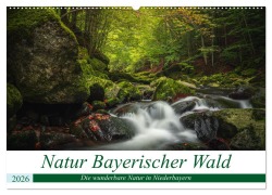 Cover-Bild zum Titel 'Natur Bayerischer Wald (Wandkalender 2026 DIN A2 quer), CALVENDO Monatskalender' von 'Fotografie Thilo Wagner'