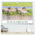 Ein Herz für Wildpferde (hochwertiger Premium Wandkalender 2025 DIN A2 quer), Kunstdruck in Hochglanz - Rainer Plett