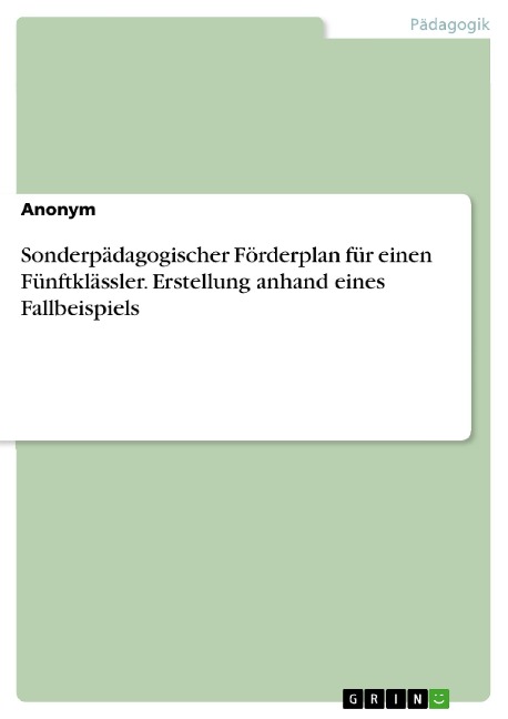 Sonderpädagogischer Förderplan für einen Fünftklässler. Erstellung anhand eines Fallbeispiels - 