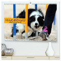 HUNDESPORT - Agility und Dog Frisbee (hochwertiger Premium Wandkalender 2024 DIN A2 quer), Kunstdruck in Hochglanz - Constanze Rähse