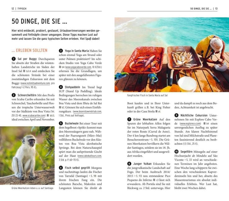 InsideView 4