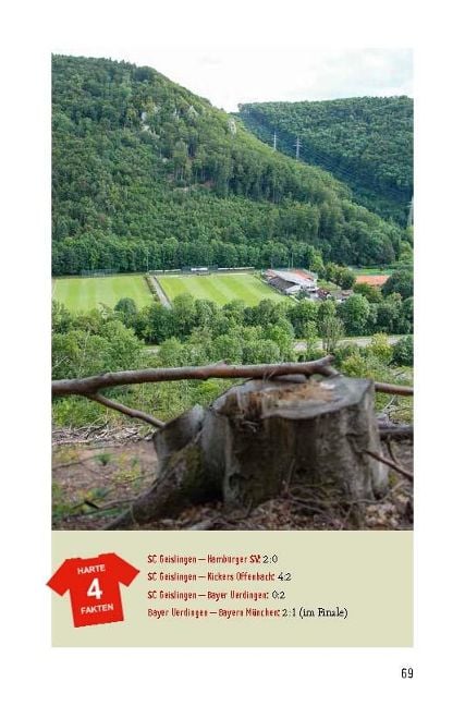 InsideView 3