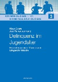 Delinquenz im Jugendalter - 