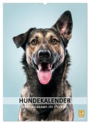 Cover-Bild zum Titel 'Hundekalender - Hunderassen im Portrait (Wandkalender 2026 DIN A2 hoch), CALVENDO Monatskalender' von 'HIGHLIGHT. photo Maxi Sängerlaub'