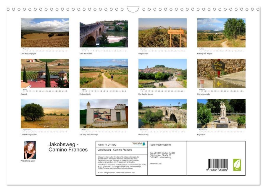 InsideView 5