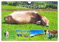 Weideviecher, Kühe liebevolle Wiederkäuer (Wandkalender 2025 DIN A4 quer), CALVENDO Monatskalender - VogtArt VogtArt