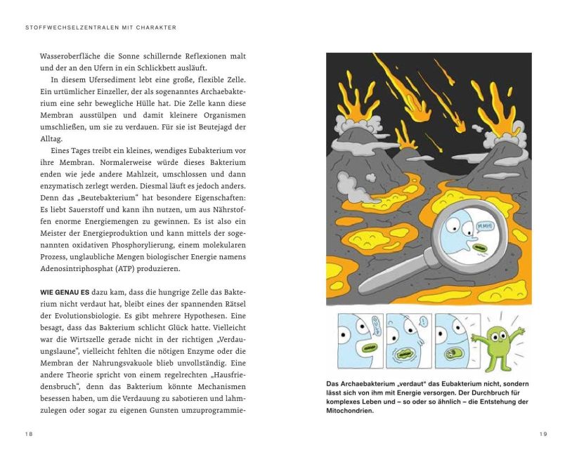 InsideView 7