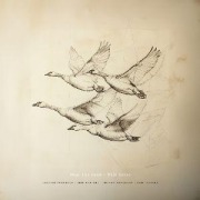 Cover-Bild zum Titel 'Wild Geese' von 'Near the Pond'