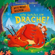 Cover-Bild zum Titel 'Bitte nicht wecken ... Hier schläft ein Drache!' von 'Rhiannon Findlay'