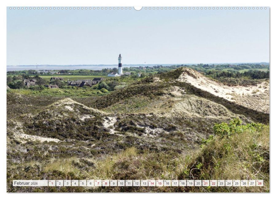 InsideView 6