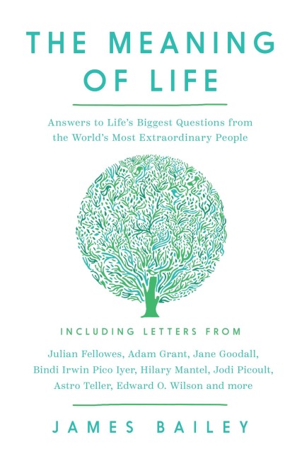 The Meaning of Life - James Bailey