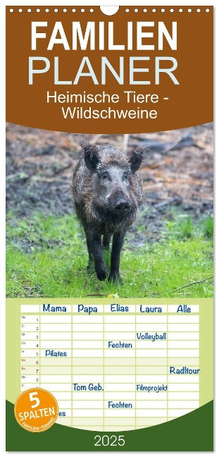 Familienplaner 2025 - Heimische Tiere - Wildschweine mit 5 Spalten (Wandkalender, 21 x 45 cm) CALVENDO - Sell Pixs:Sell