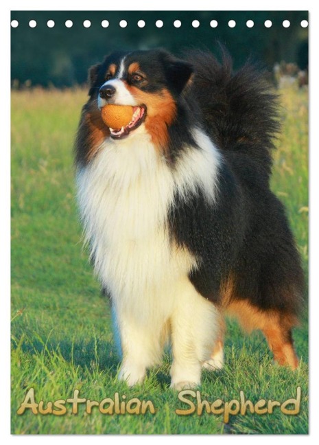 Australian Shepherd (Tischkalender 2025 DIN A5 hoch), CALVENDO Monatskalender - Barbara Mielewczyk