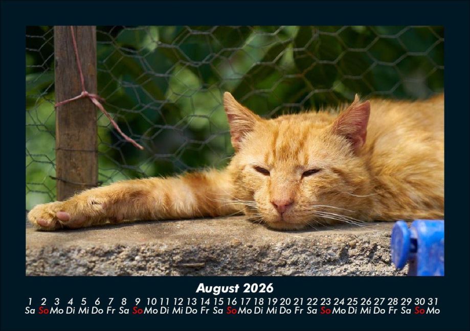 InsideView 12