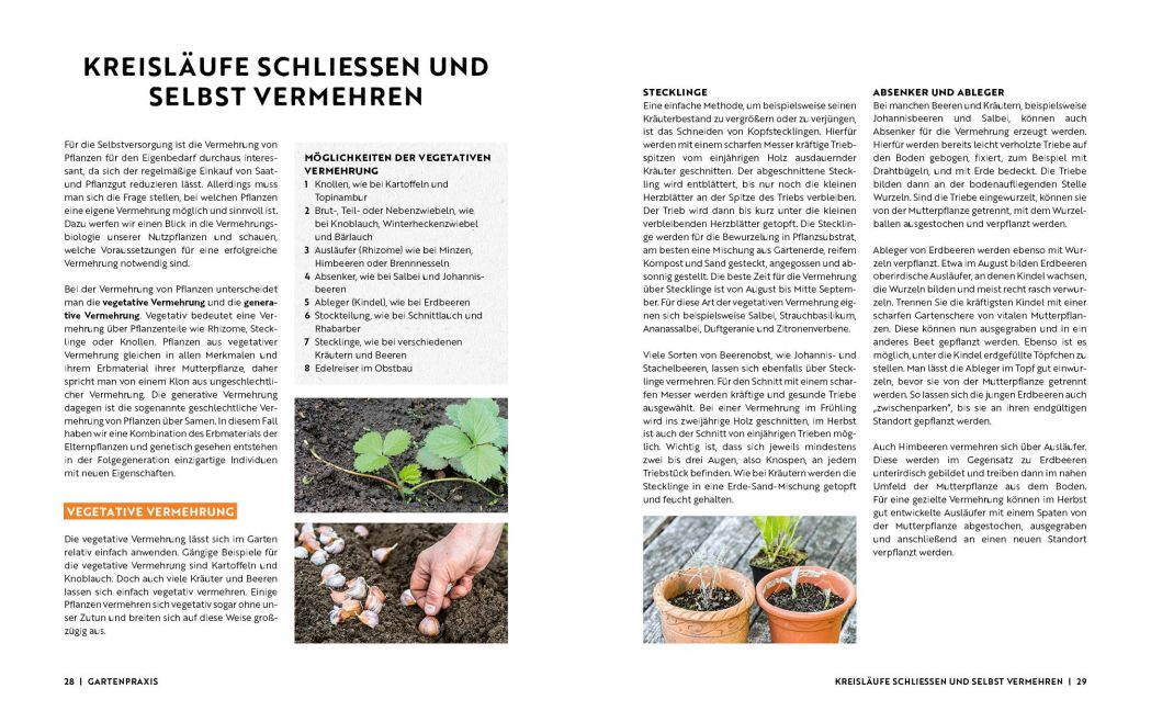 InsideView 6