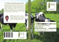 Cover-Bild zum Titel 'LITTÉRATURE ORALE MALGACHE' von 'Razamany Guy'