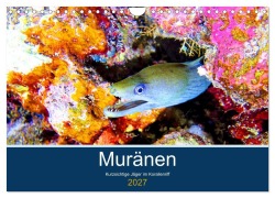 Cover-Bild zum Titel 'Muränen - Kurzsichtige Jäger im Korallenriff (Wandkalender 2027 DIN A4 quer), CALVENDO Monatskalender' von 'Andrea Hess'