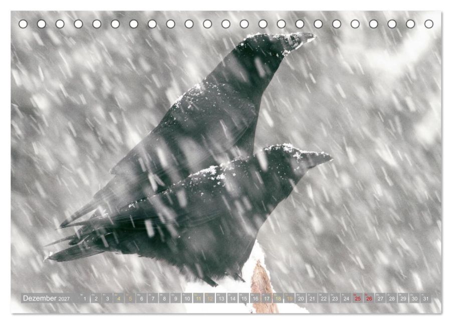 InsideView 4