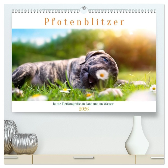 Pfotenblitzer bunte Tierfotografie an Land und im Wasser (hochwertiger Premium Wandkalender 2026 DIN A2 quer), Kunstdruck in Hochglanz - Pfotenblitzer Tierfotografie