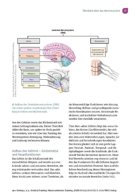 InsideView 11